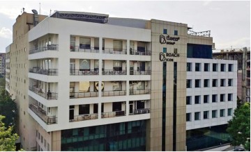 Roach Icon (Ferns Icon )